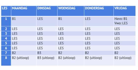 rooster 