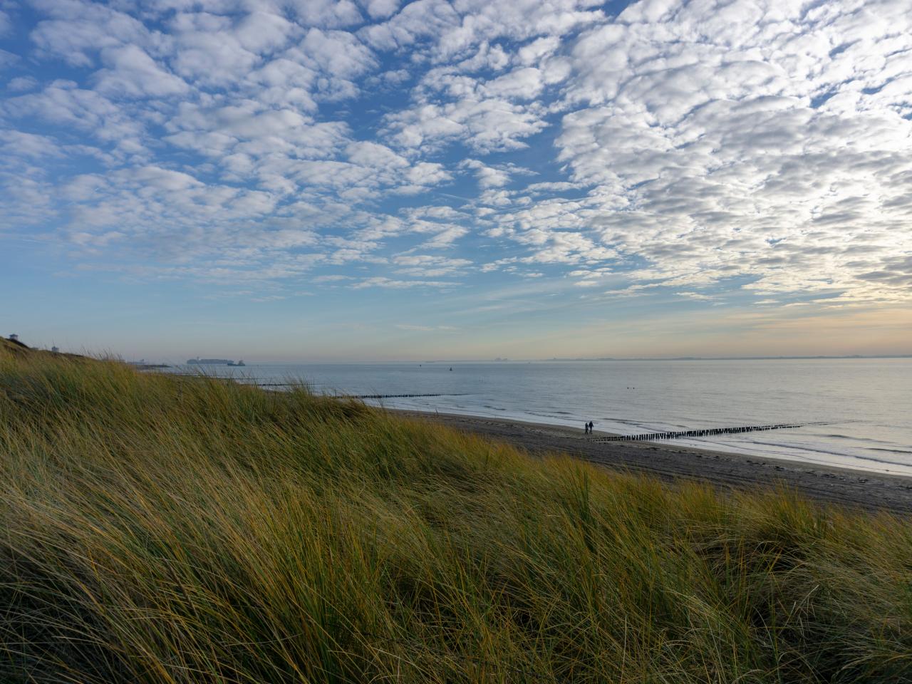 zeeland 